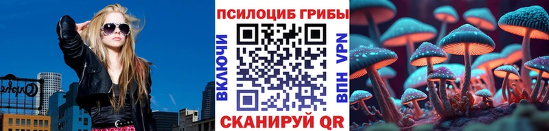 Псилоцибиновые грибы Cubensis  Нестеров 